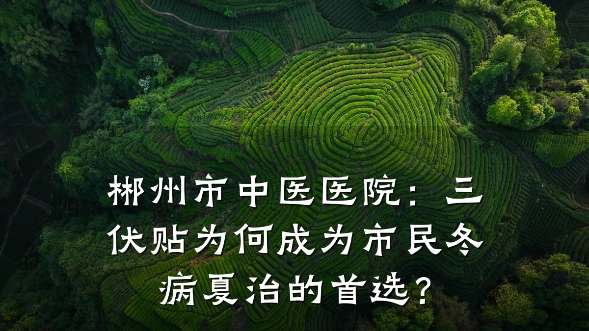 郴州市中医医院:三伏贴为何成为市民冬病夏治的首选?
