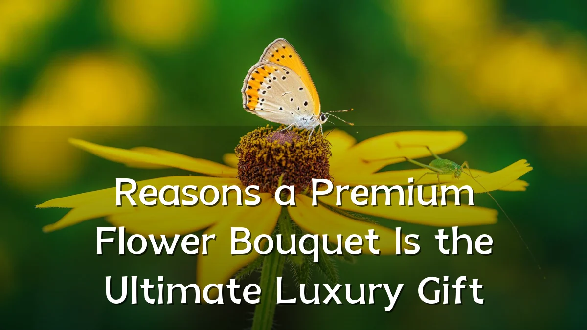 Reasons a Premium Flower Bouquet Is the Ultimate Luxury Gift