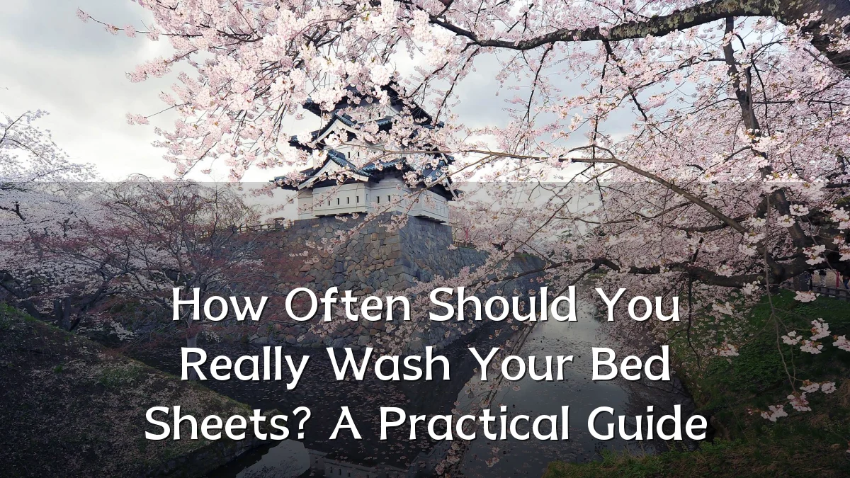 How Often Should You Really Wash Your Bed Sheets? A Practical Guide