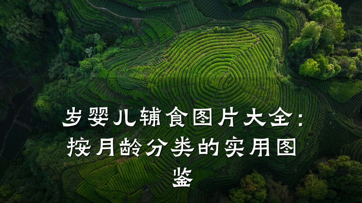 岁婴儿辅食图片大全:按月龄分类的实用图鉴