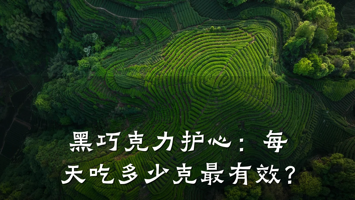 黑巧克力护心：每天吃多少克最有效？