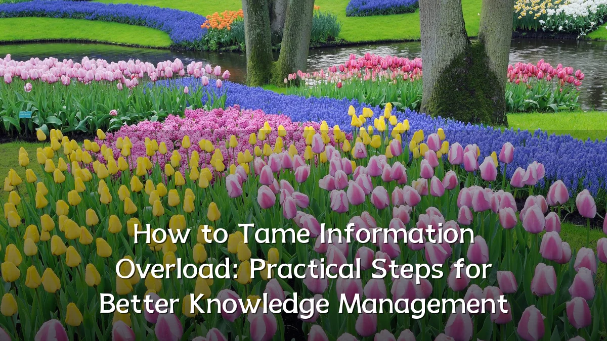 How to Tame Information Overload: Practical Steps for Better Knowledge Management