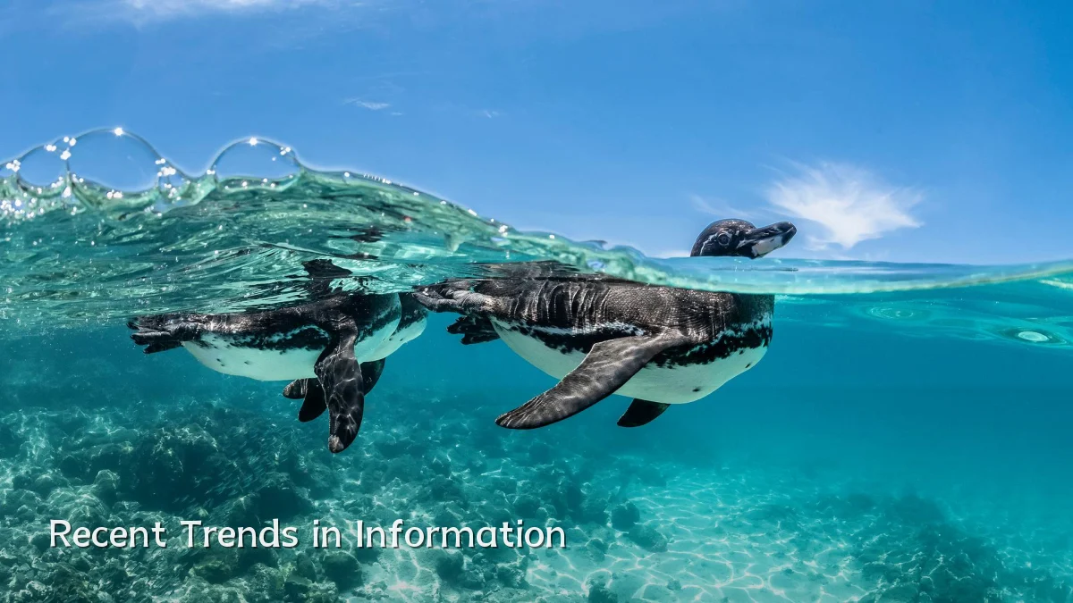 Recent Trends in Information