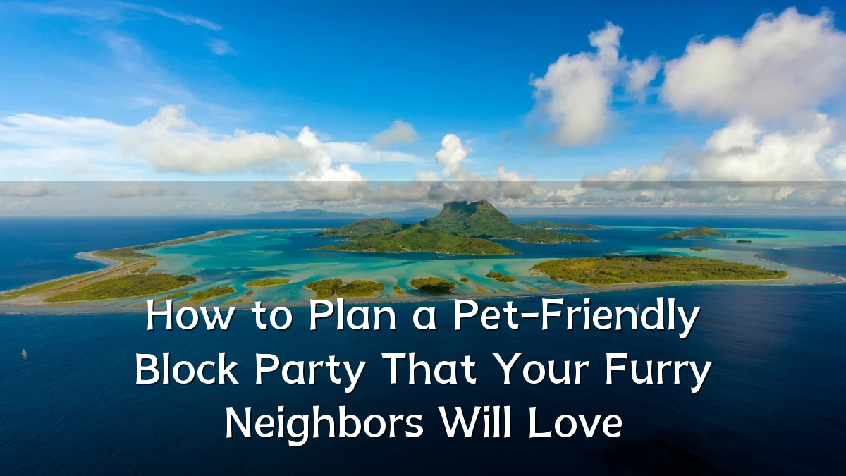 How to Plan a Pet-Friendly Block Party That Your Furry Neighbors Will Love