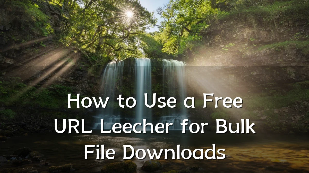 How to Use a Free URL Leecher for Bulk File Downloads