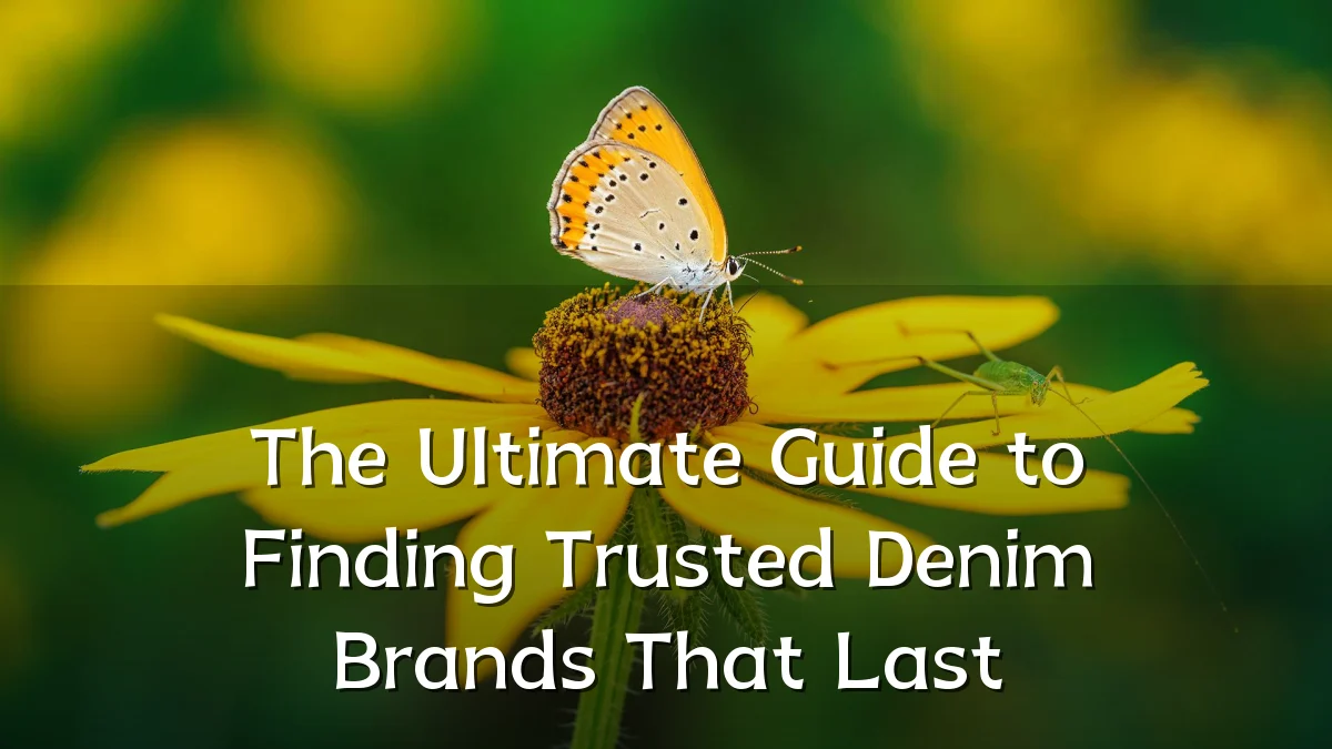 The Ultimate Guide to Finding Trusted Denim Brands That Last