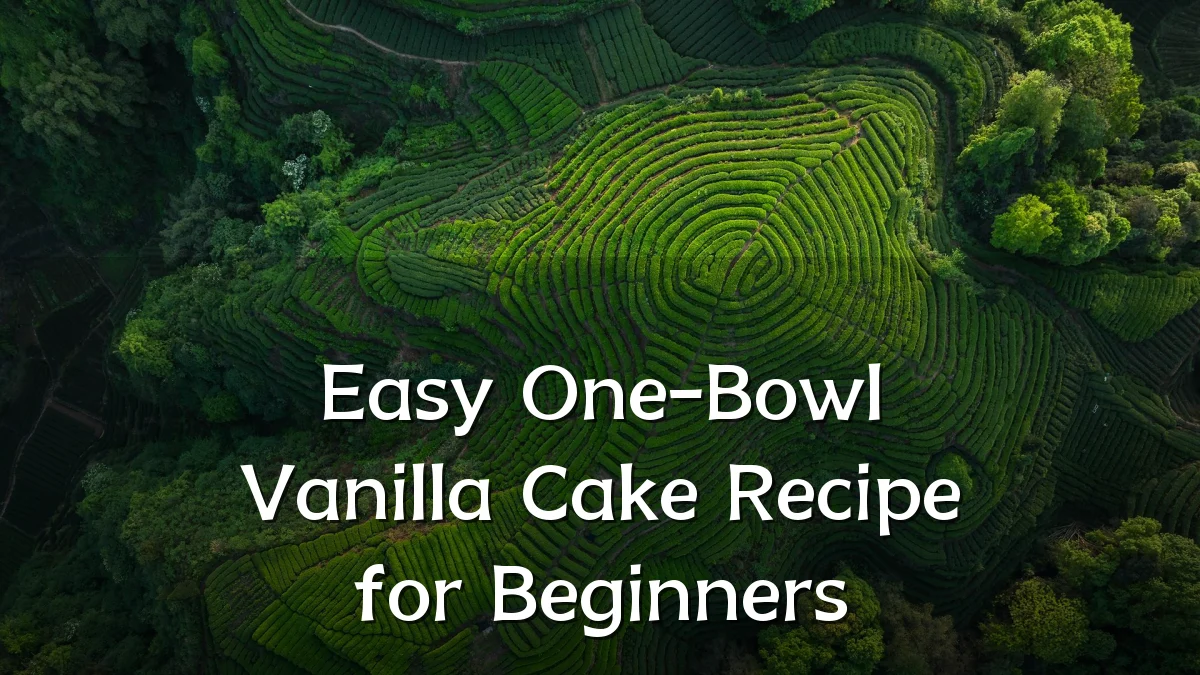 Easy One-Bowl Vanilla Cake Recipe for Beginners