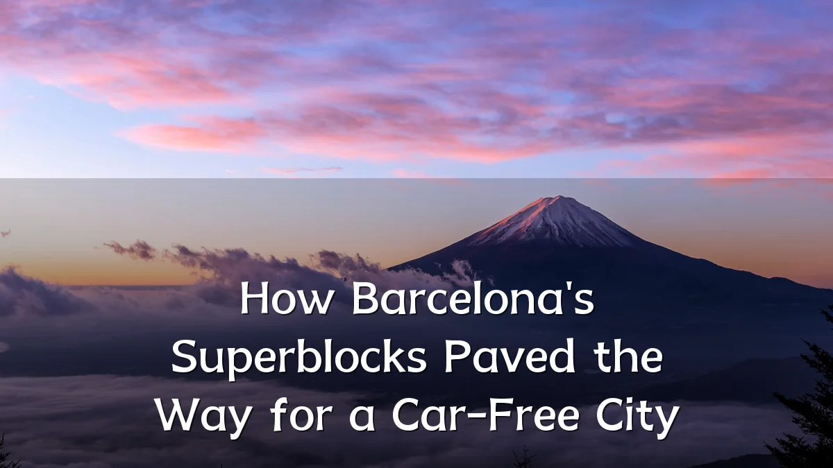 How Barcelona's Superblocks Paved the Way for a Car-Free City