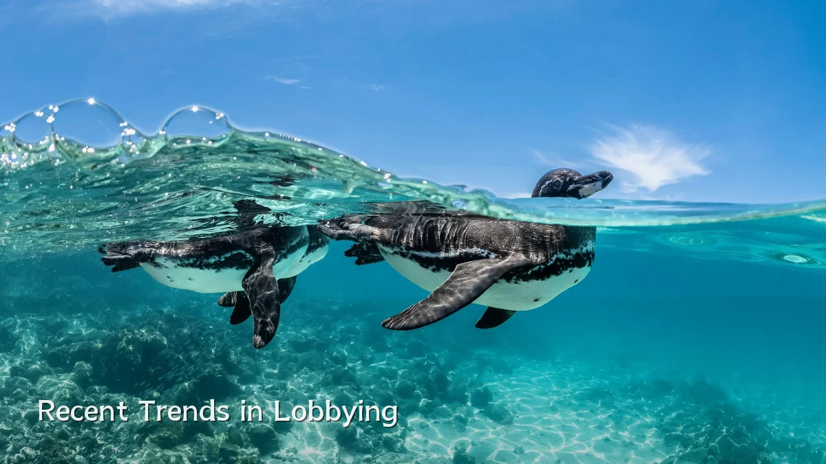 Recent Trends in Lobbying