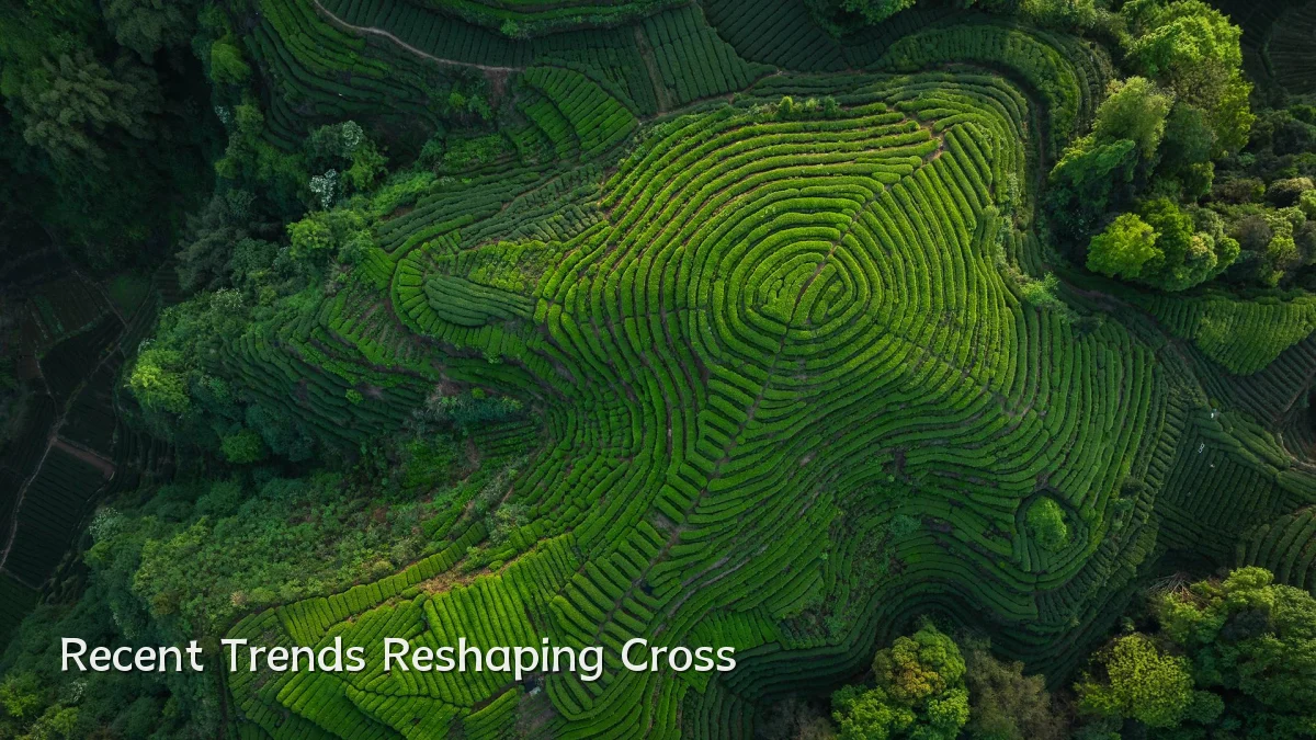 Recent Trends Reshaping Cross