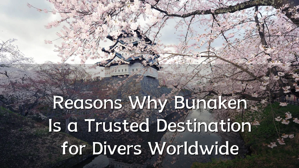 Reasons Why Bunaken Is a Trusted Destination for Divers Worldwide