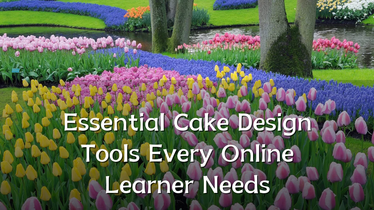 Essential Cake Design Tools Every Online Learner Needs