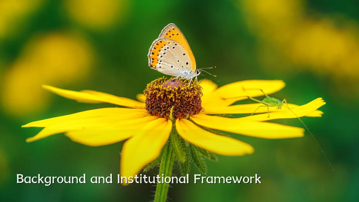 Background and Institutional Framework