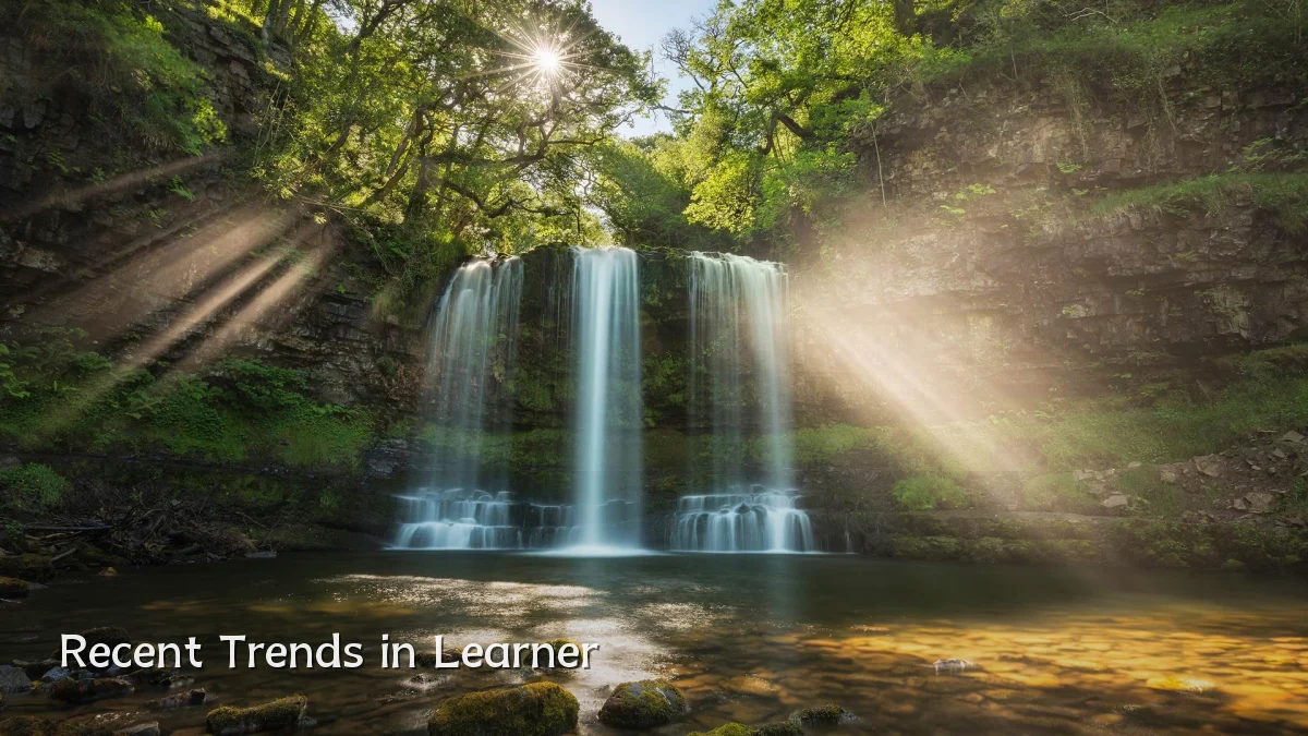 Recent Trends in Learner