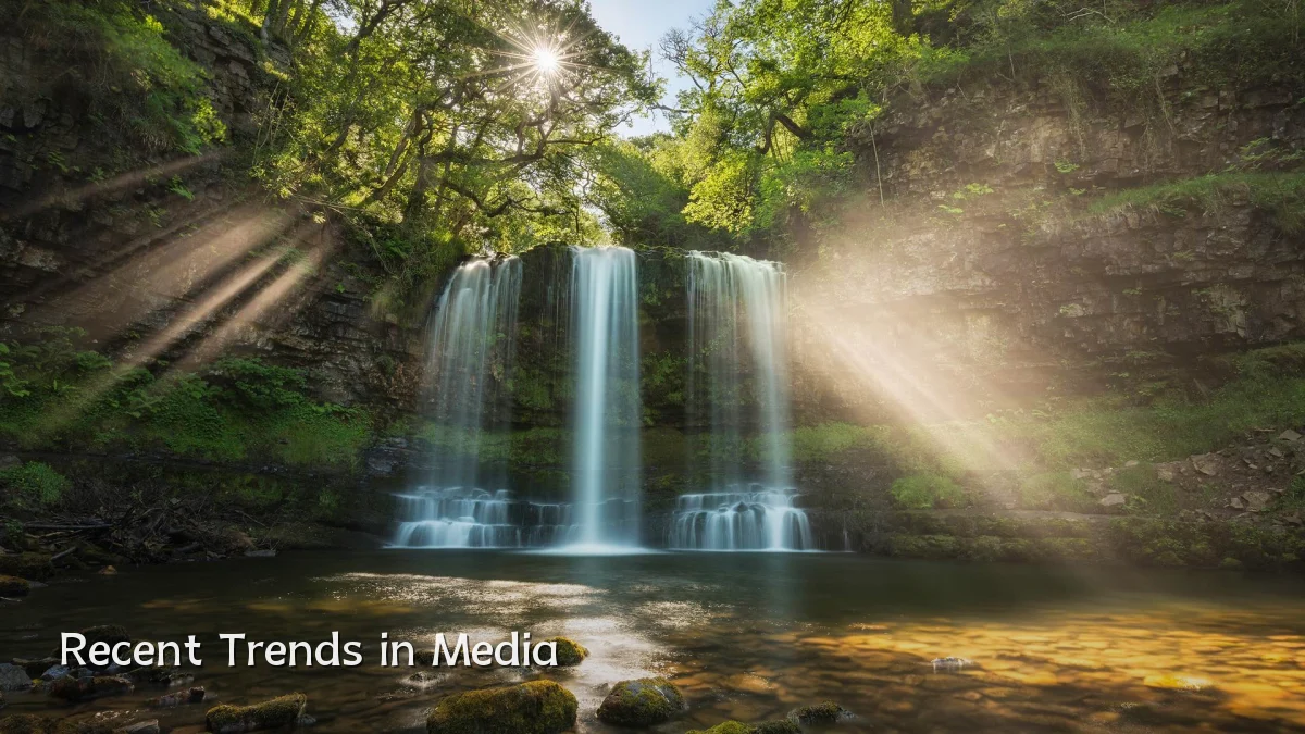 Recent Trends in Media