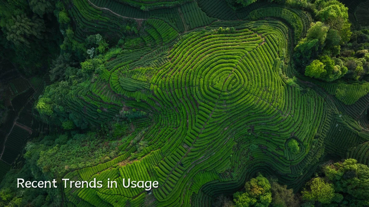 Recent Trends in Usage