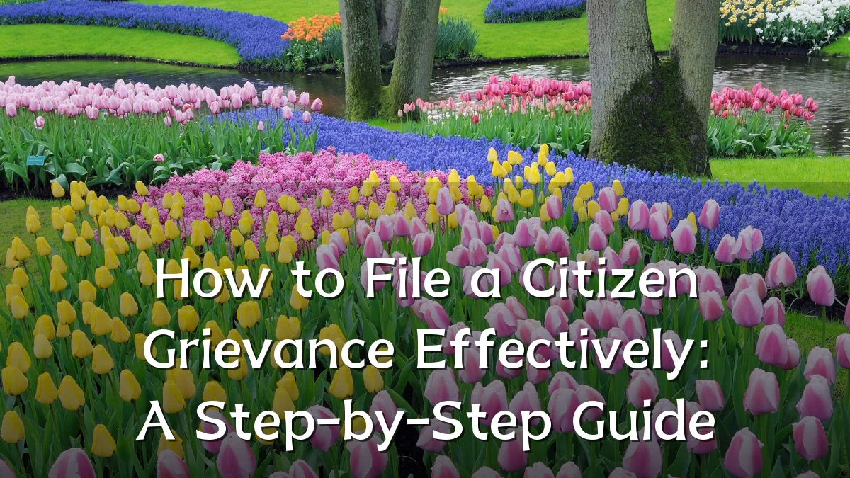 How to File a Citizen Grievance Effectively: A Step-by-Step Guide